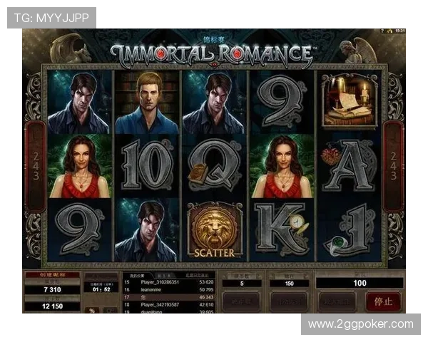 探索mg不朽情缘：这款游戏背后的开发公司揭秘