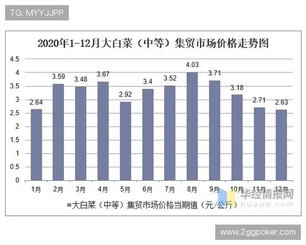 2025年白菜零售价格最新行情分析与趋势预测