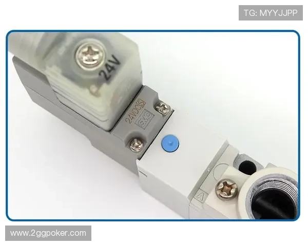 PA官网的技术支持与客户服务联系方式